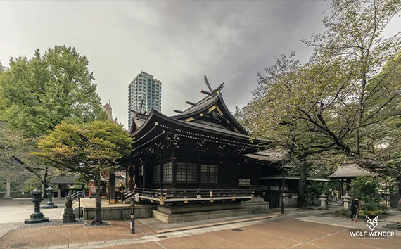 Wender Media - SEO Agentur Ruhrgebiet