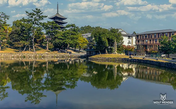 SEO-Texte - Professionelle Texterstellung für bessere Rankings im Ruhrgebiet