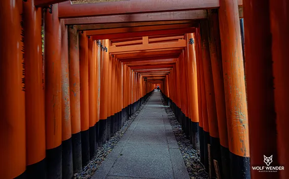 Pagespeed Optimierung im Ruhrgebiet - Schnellere Ladezeiten für bessere Rankings