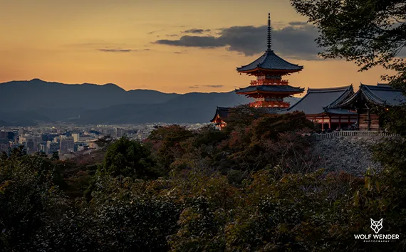 Local SEO - Lokale Sichtbarkeit für Ihr Unternehmen im Ruhrgebiet